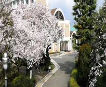 静岡県立三島北高等学校