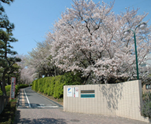 静岡県立浜松西高等学校