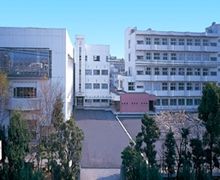 桐陽高等学校