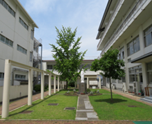 浜松聖星高等学校